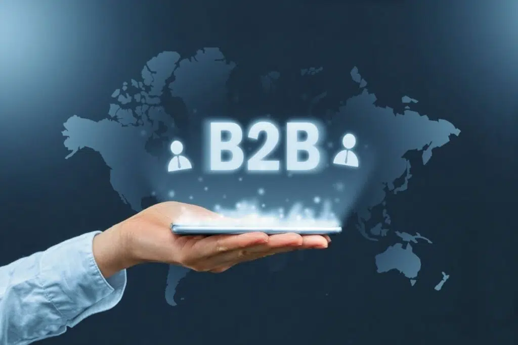 Comertul electronic in contextul B2B