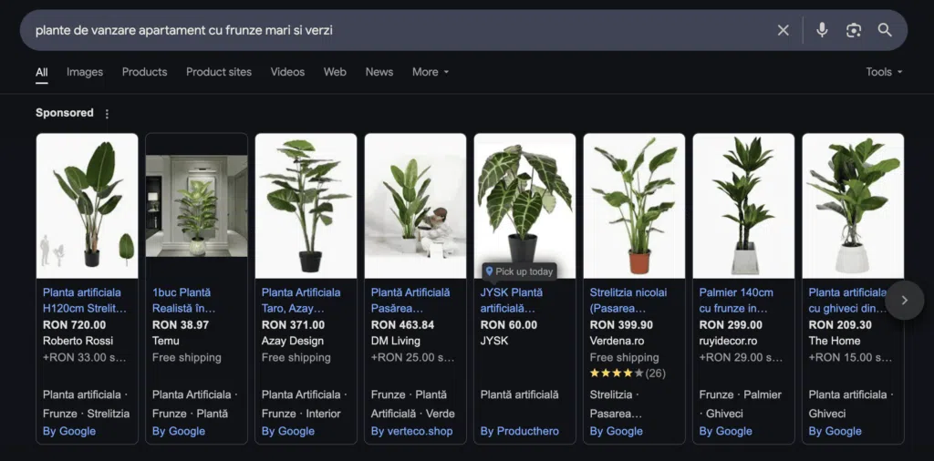 Exemplu de anunturi pentru cuvantul cheie long tail plante de vanzare apartament cu frunze mari si verzi