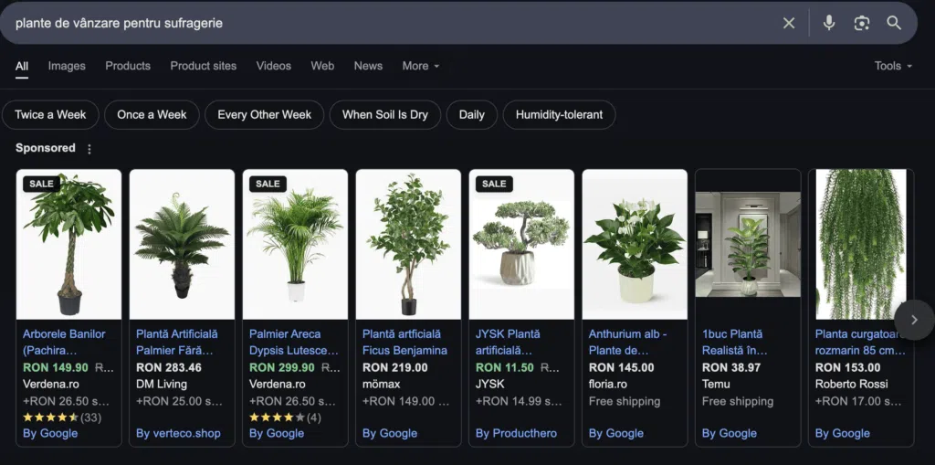 Exemplu de reclame platite in Google pentru interogarea plante de vanzare pentru sufragerie