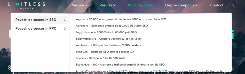 Exemplu studii de caz - Limitless Agency